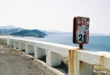 short number adoption metrics