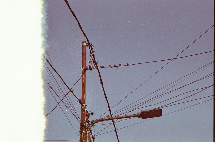 support line response analysis