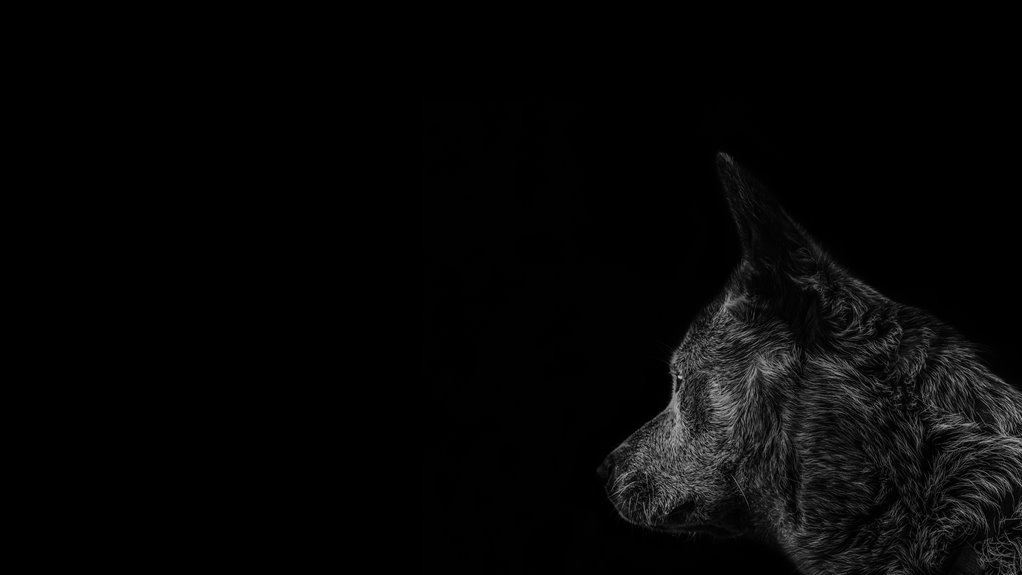 asylmendibaeva profile details